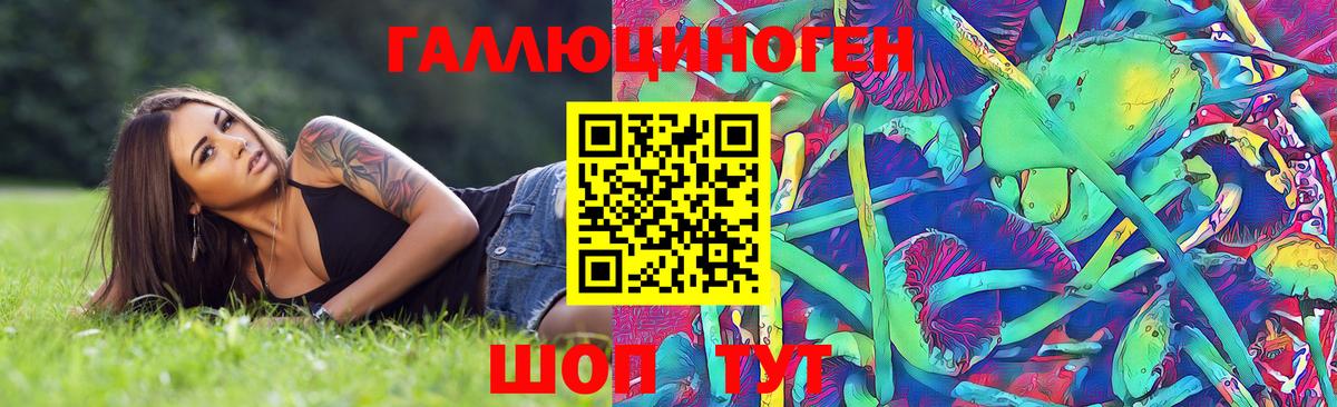 Назарово  Псилоцибиновые грибы Psilocybine cubensis  где купить   Вход с VPN 