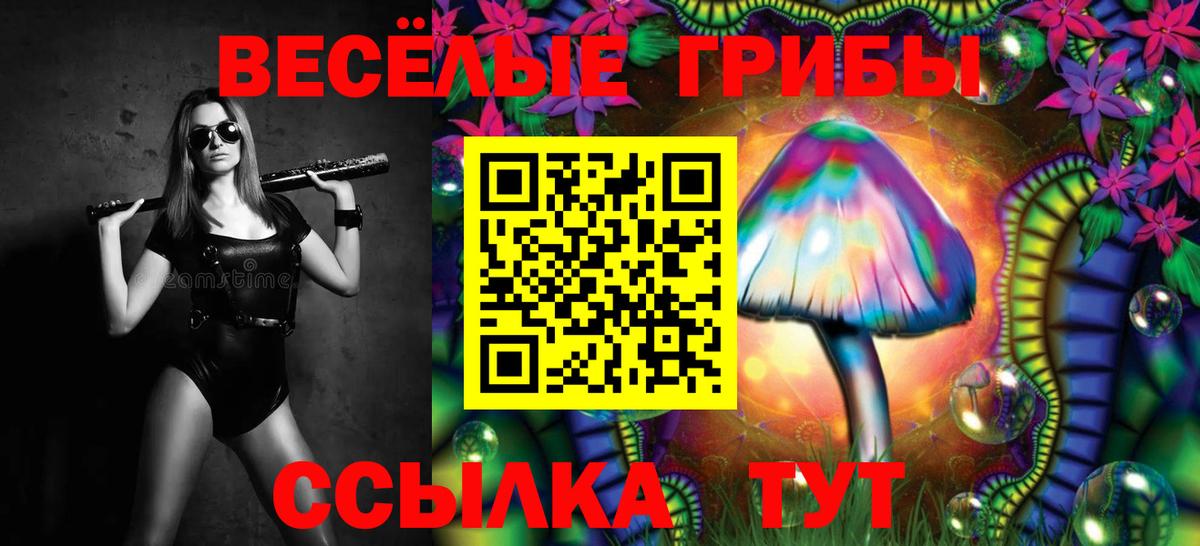 Галлюциногенные грибы Cubensis Назарово